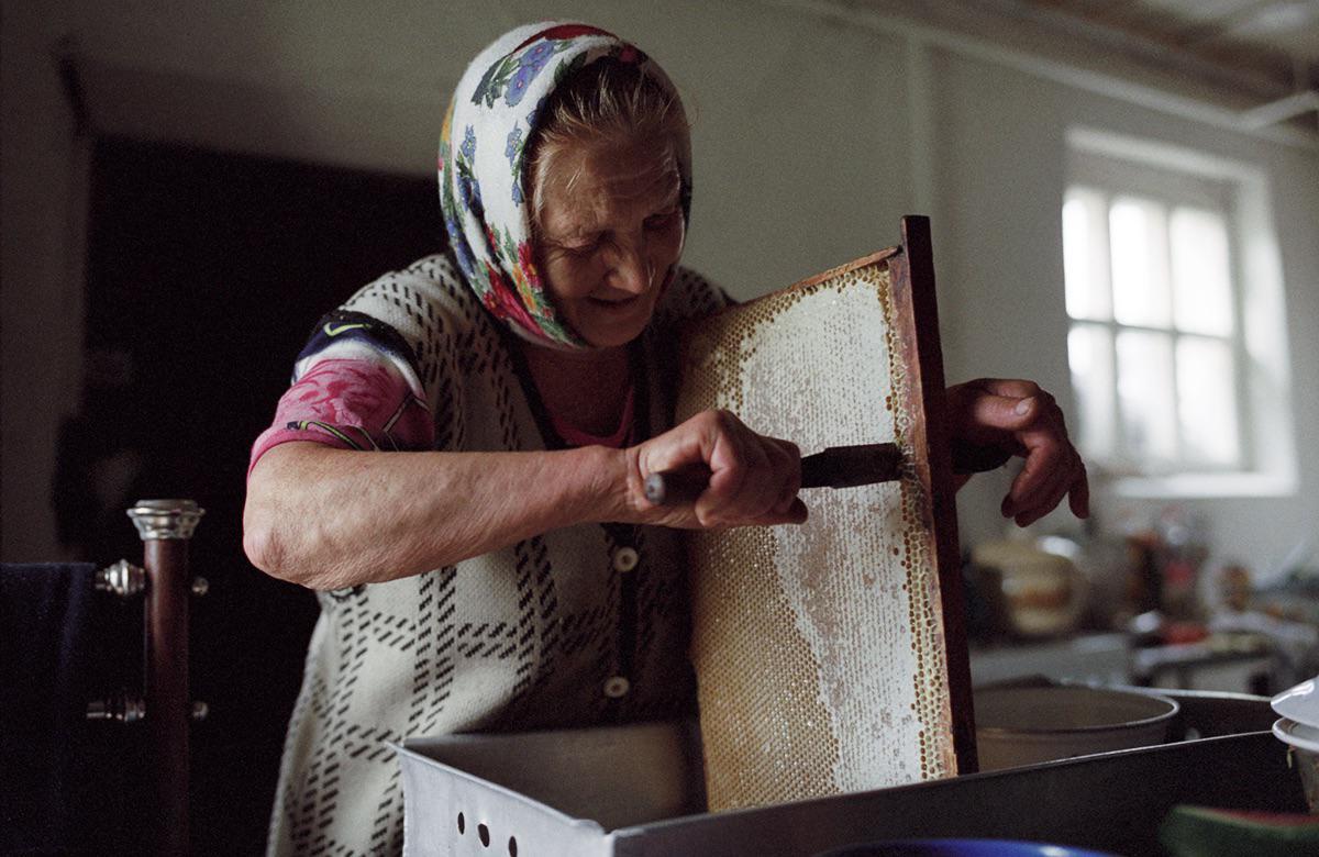 A woman in a headscarf scrapes a honeycomb frame in a room with a window.