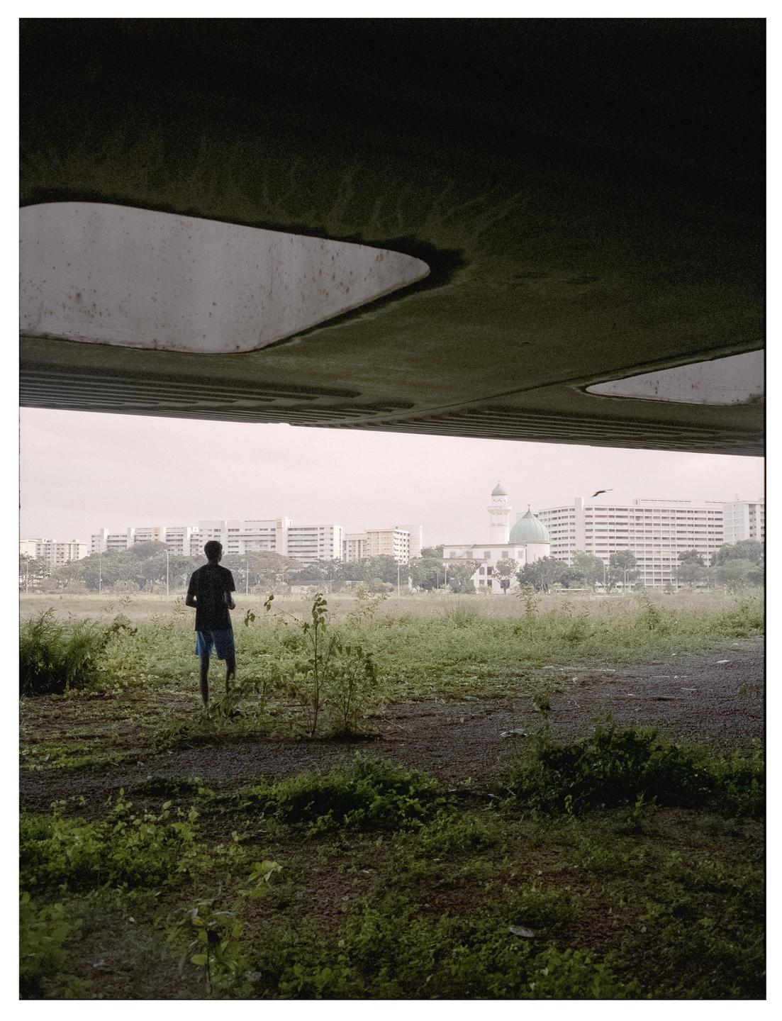 A man stands in a field of tall grass and weeds, looking towards a city skyline with a mosque.