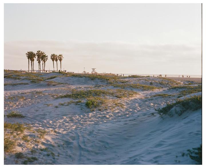 A sandy beach with palm trees and a lifeguard stand is visible under a bright sky.