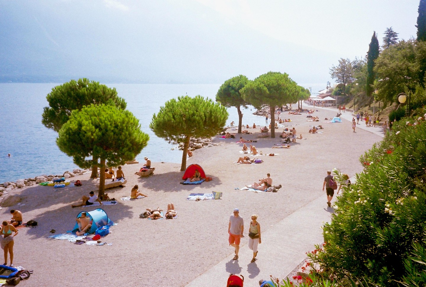 People relax on a sunny beach next to a lake with trees and a paved path.