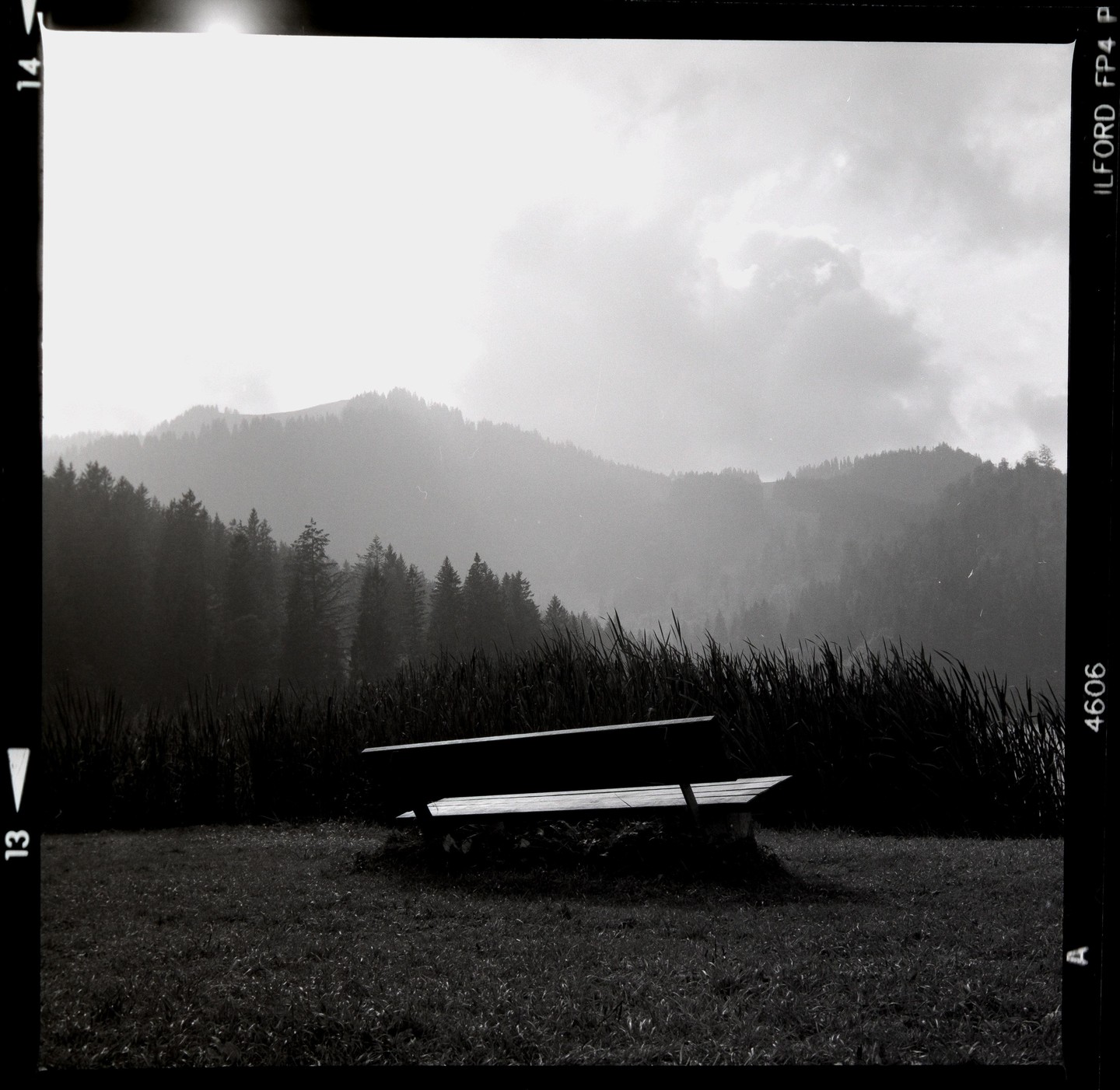 A park bench sits in a grassy field with tall grass behind it, and a forest and mountains in the background under a cloudy sky.