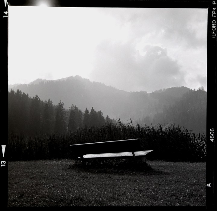 A park bench sits in a grassy field with tall grass behind it, and a forest and mountains in the background under a cloudy sky.