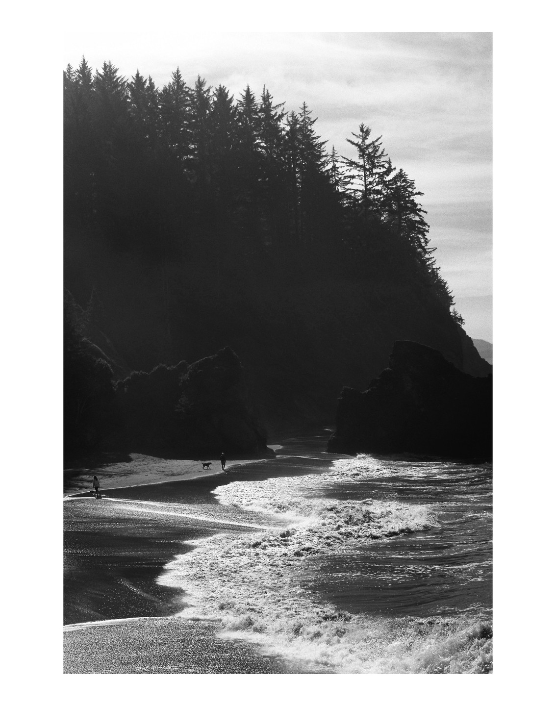 A person walks a dog along a beach with waves crashing on the shore and a forest on a cliff in the background.