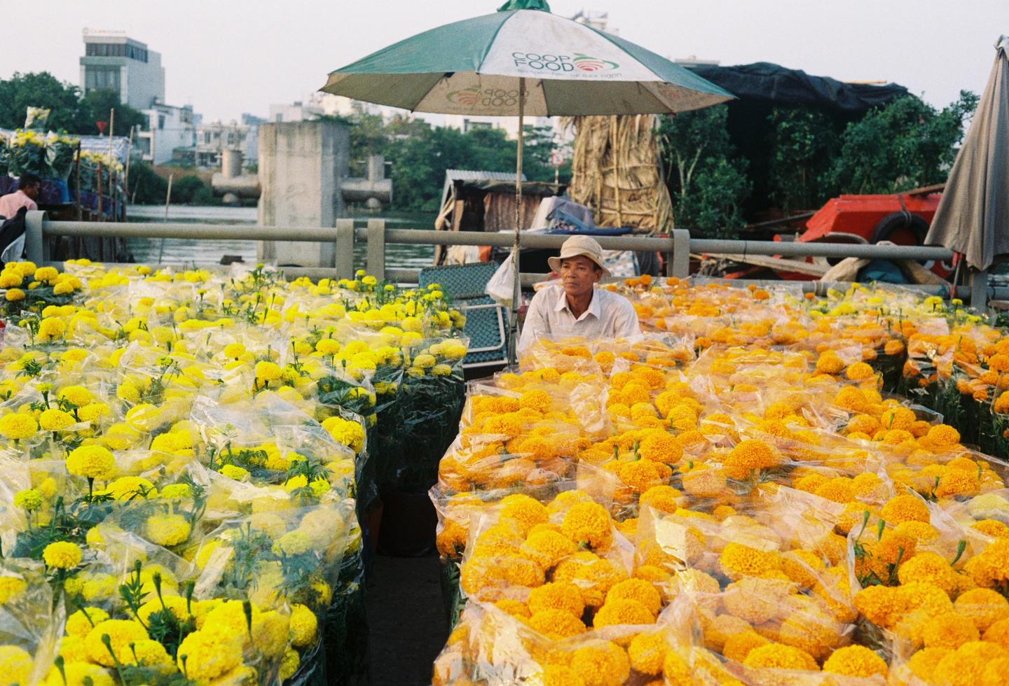 A man sits under an umbrella surrounded by yellow and orange flowers in plastic bags at a flower market in Ho Chi Minh City.
