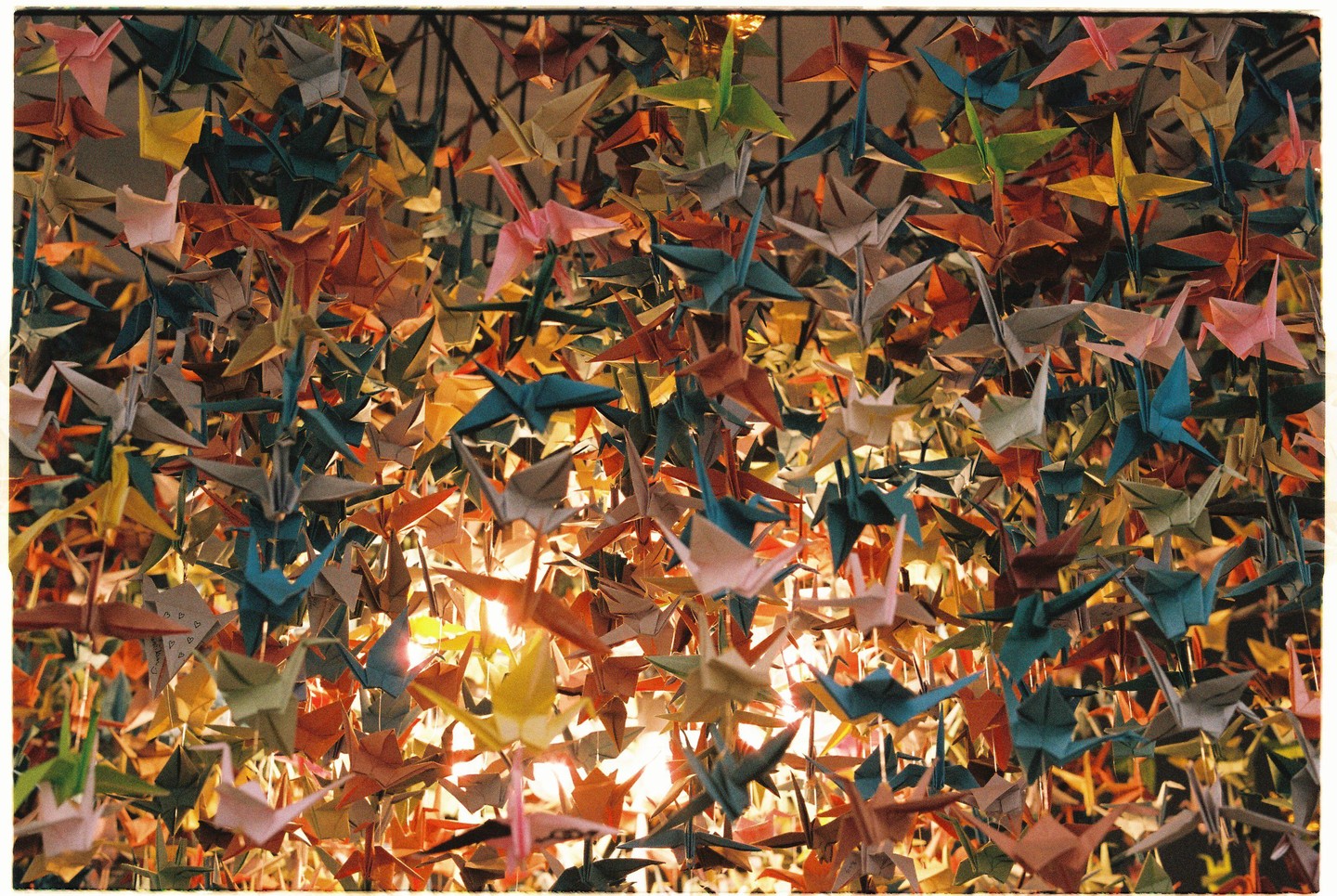 Hundreds of colorful origami cranes hang from the ceiling, illuminated by warm light from below.