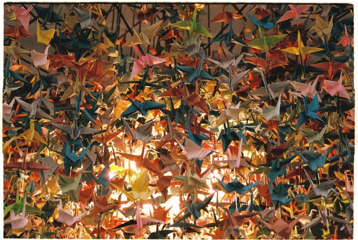 Hundreds of colorful origami cranes hang from the ceiling, illuminated by warm light from below.