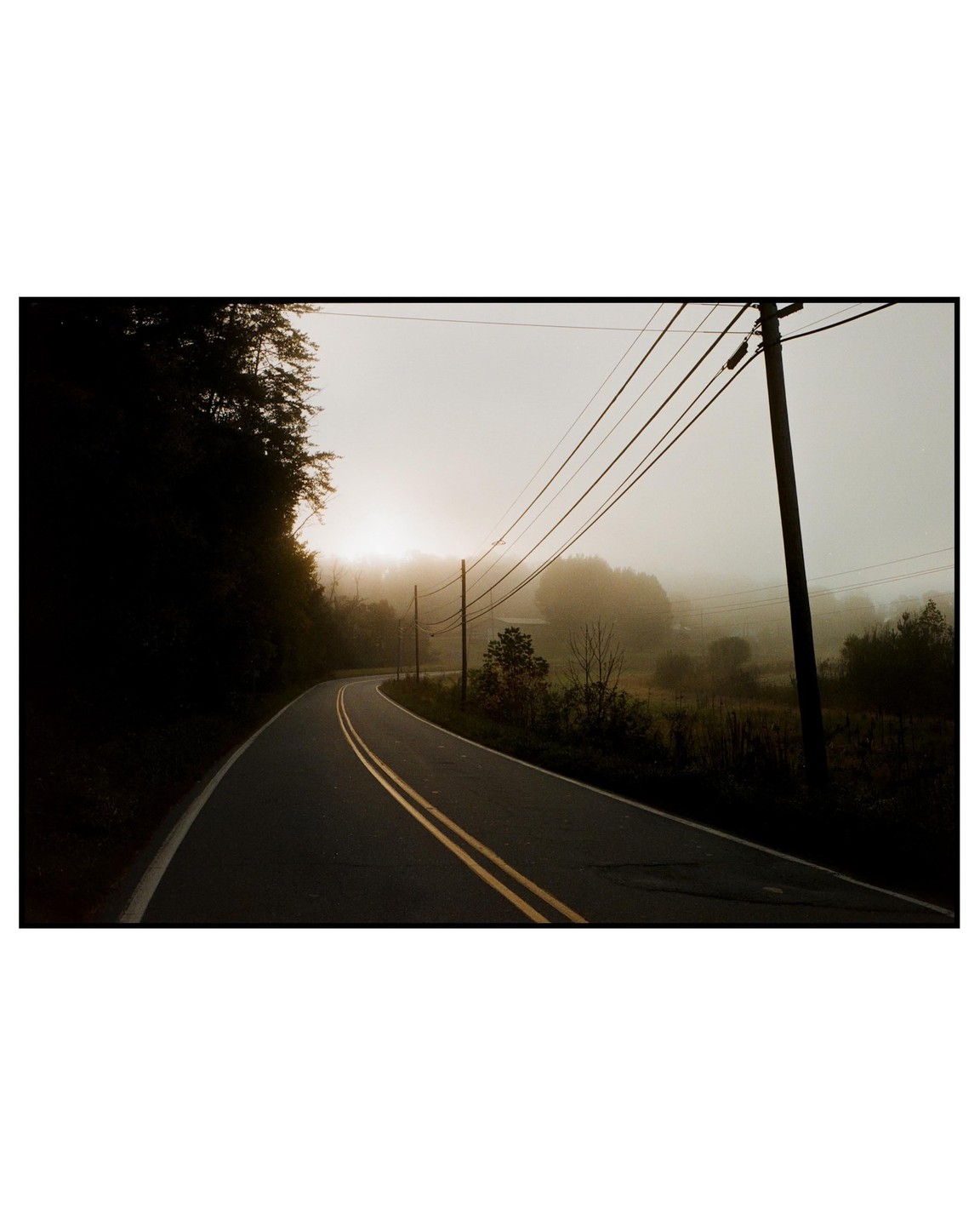 A winding road with double yellow lines curves through a foggy landscape with trees and utility poles.