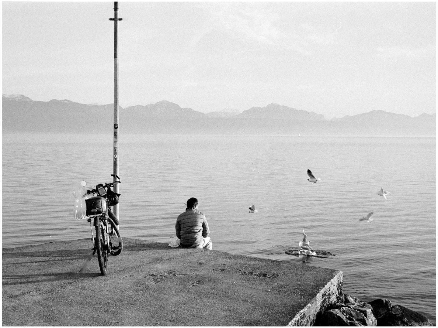 A man sits on a concrete pier next to a bicycle, looking out at a lake with mountains in the distance and several birds flying over the water.