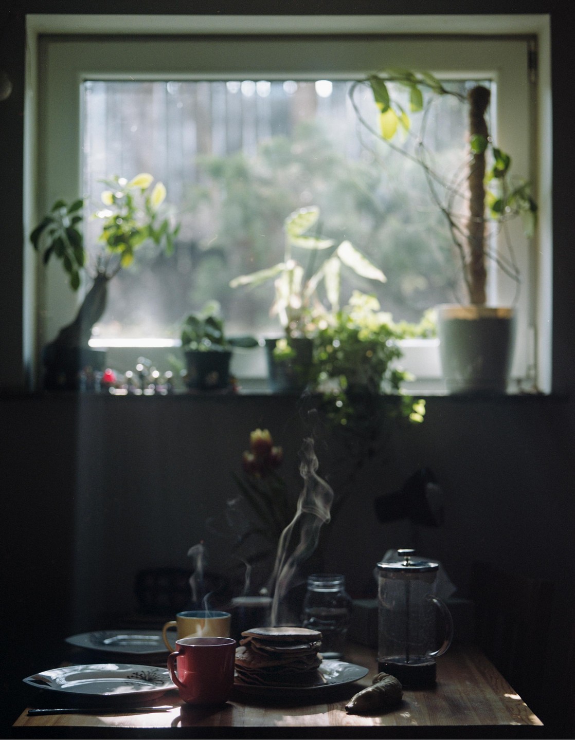 A table is set with steaming coffee cups, a stack of pancakes, and a french press in front of a sunlit window with houseplants.