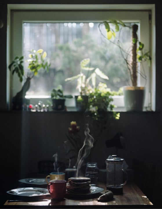 A table is set with steaming coffee cups, a stack of pancakes, and a french press in front of a sunlit window with houseplants.