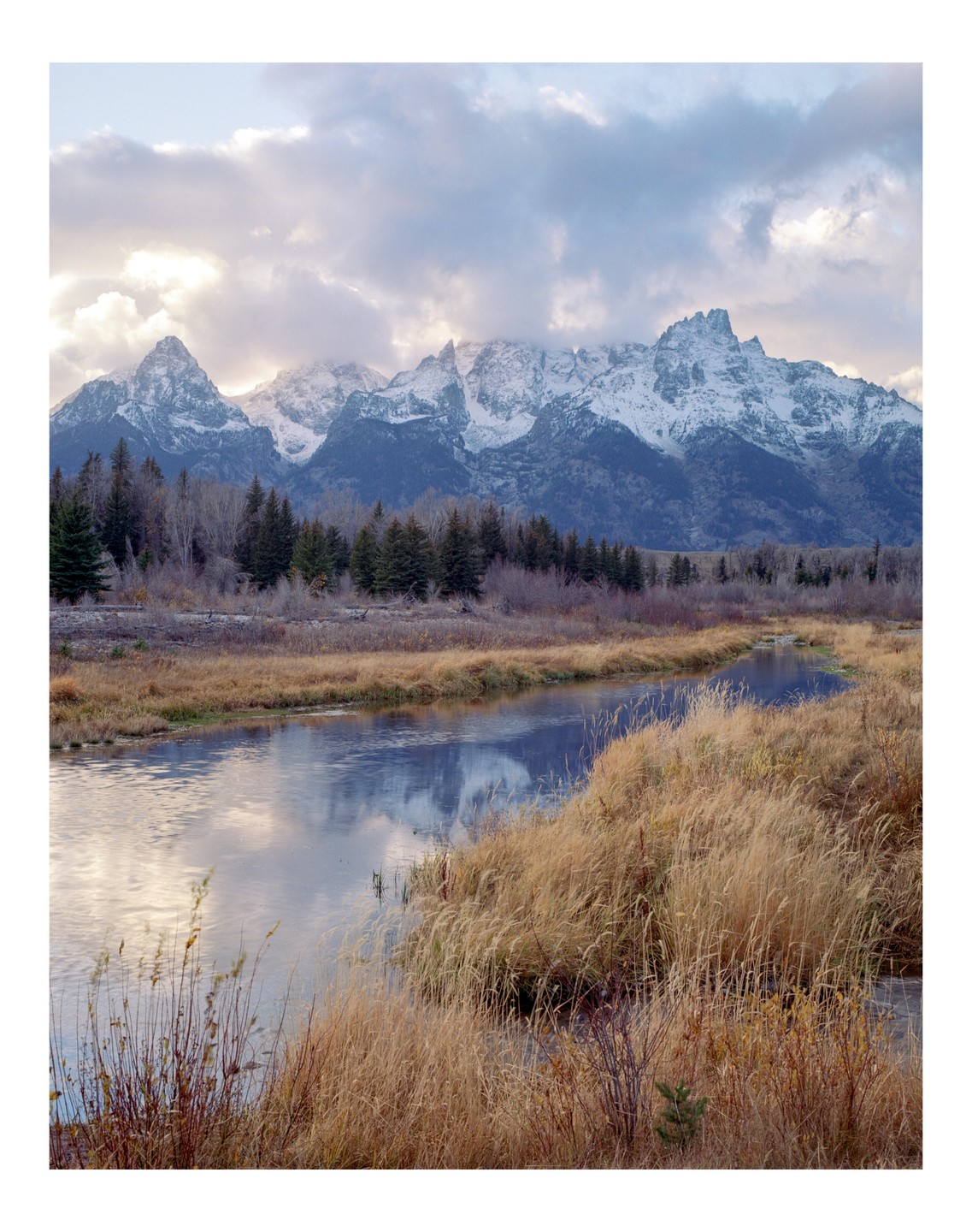 A river winds through a field of tall grass with snow-capped mountains and a cloudy sky in the background.