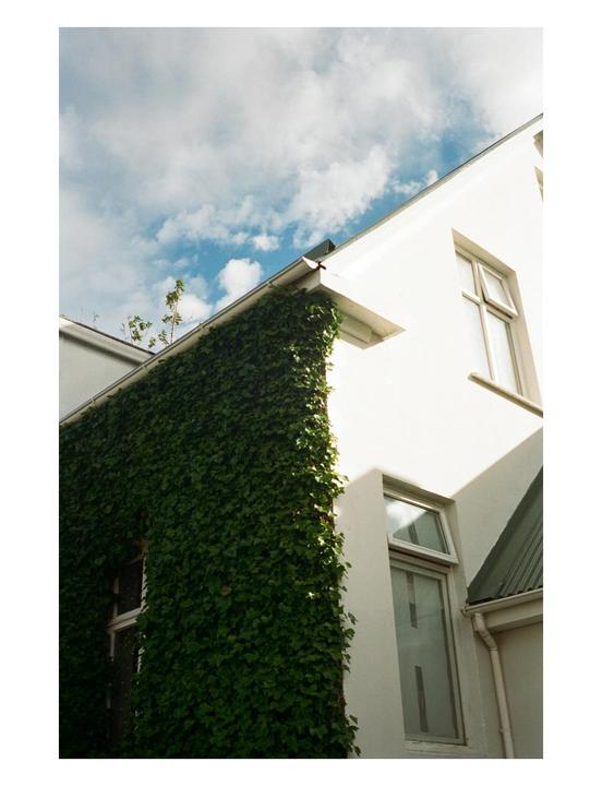 A white building with a wall covered in ivy is shown from a low angle against a blue sky with clouds.