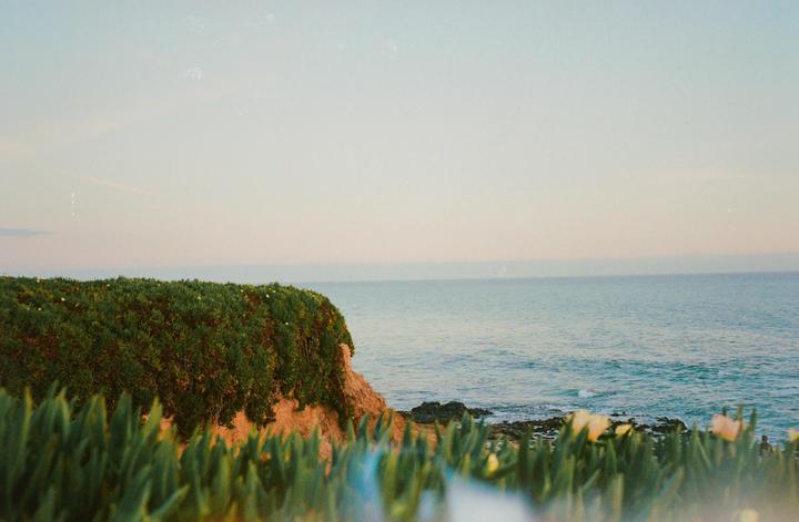 A cliff covered in green foliage overlooks the ocean under a pale sky.