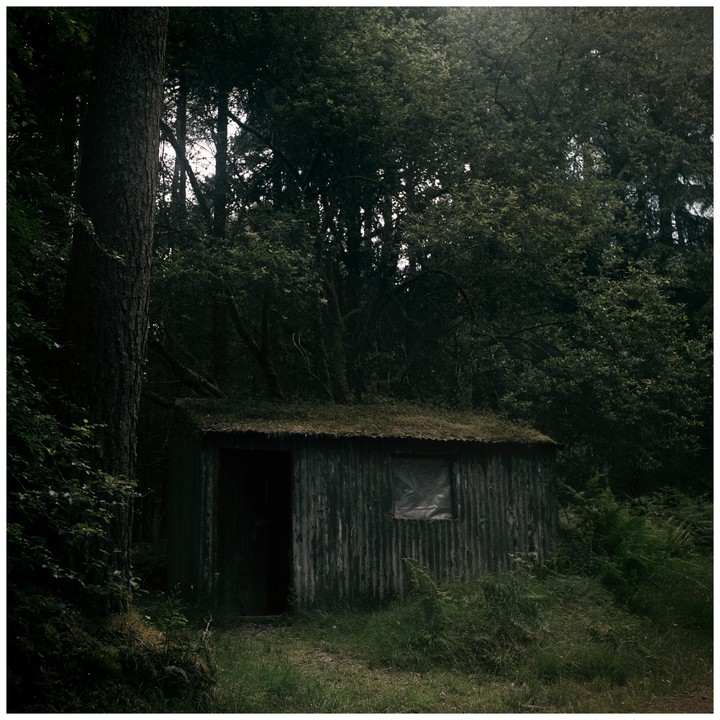A small corrugated metal cabin with a mossy roof stands in a forest clearing.