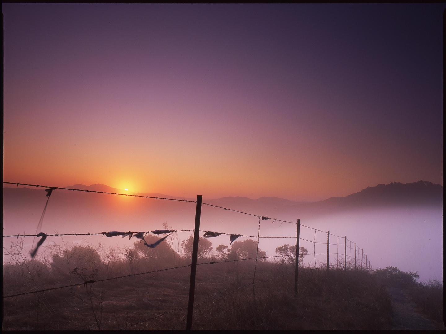 The sun rises over a foggy landscape with a barbed wire fence in the foreground.