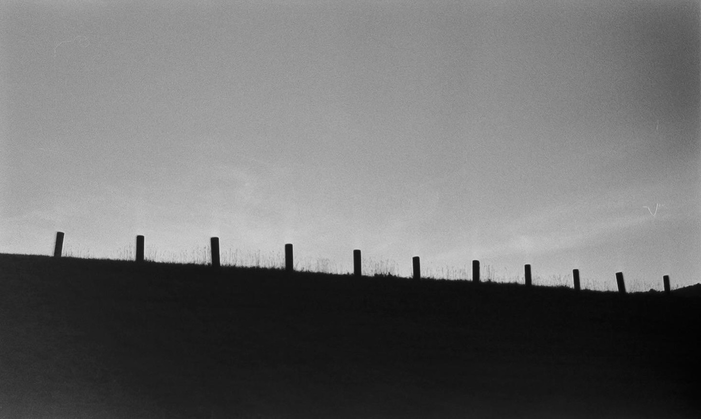 A row of fence posts is silhouetted against a bright sky on a grassy hill.