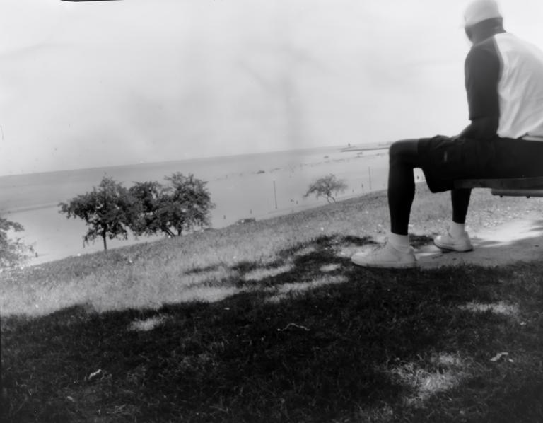 A man sits on a bench overlooking a beach with trees and grass in the foreground.