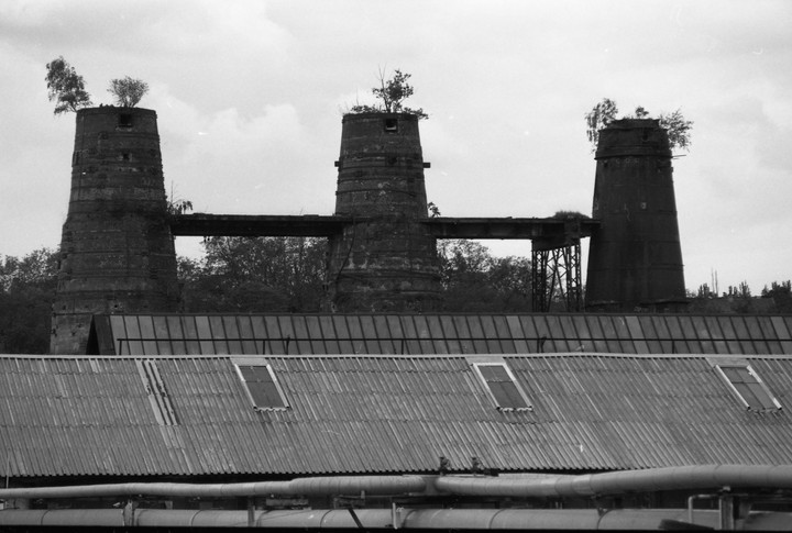 Three industrial chimneys with trees growing from their tops stand behind a corrugated metal roof with skylights.