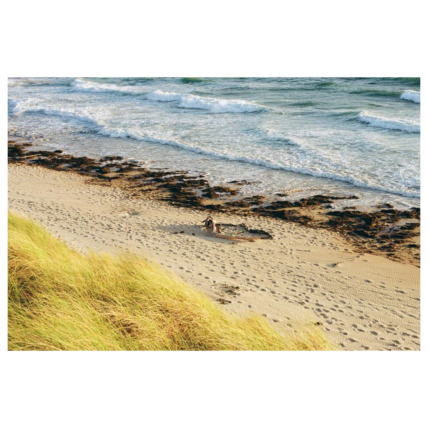 A person sits on a sandy beach next to the ocean with tall grass on a dune in the foreground.