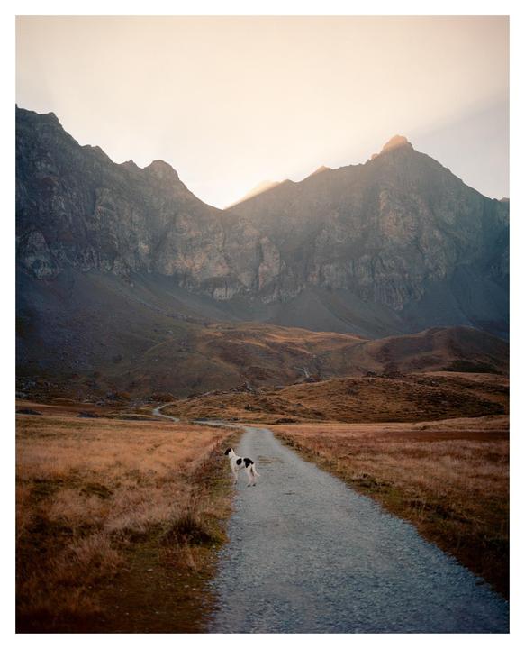 A dog stands on a winding gravel road in a valley with mountains in the background.
