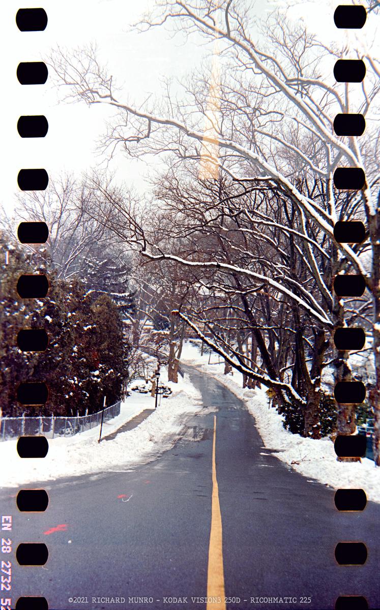 A snow-covered road with a yellow dividing line is surrounded by bare trees and snow-covered ground.