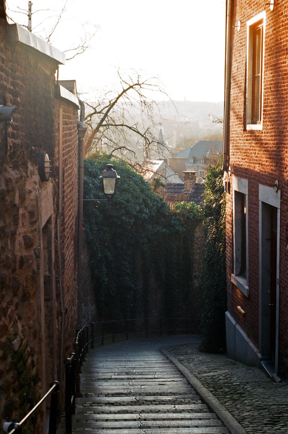 A narrow, cobbled street with steps descends between brick buildings and a wall covered in ivy, with a hazy view of a city in the distance.