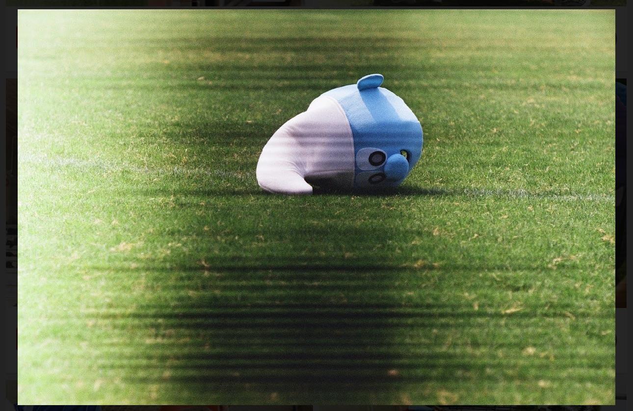 A blue and white plush toy lies on a green lawn.