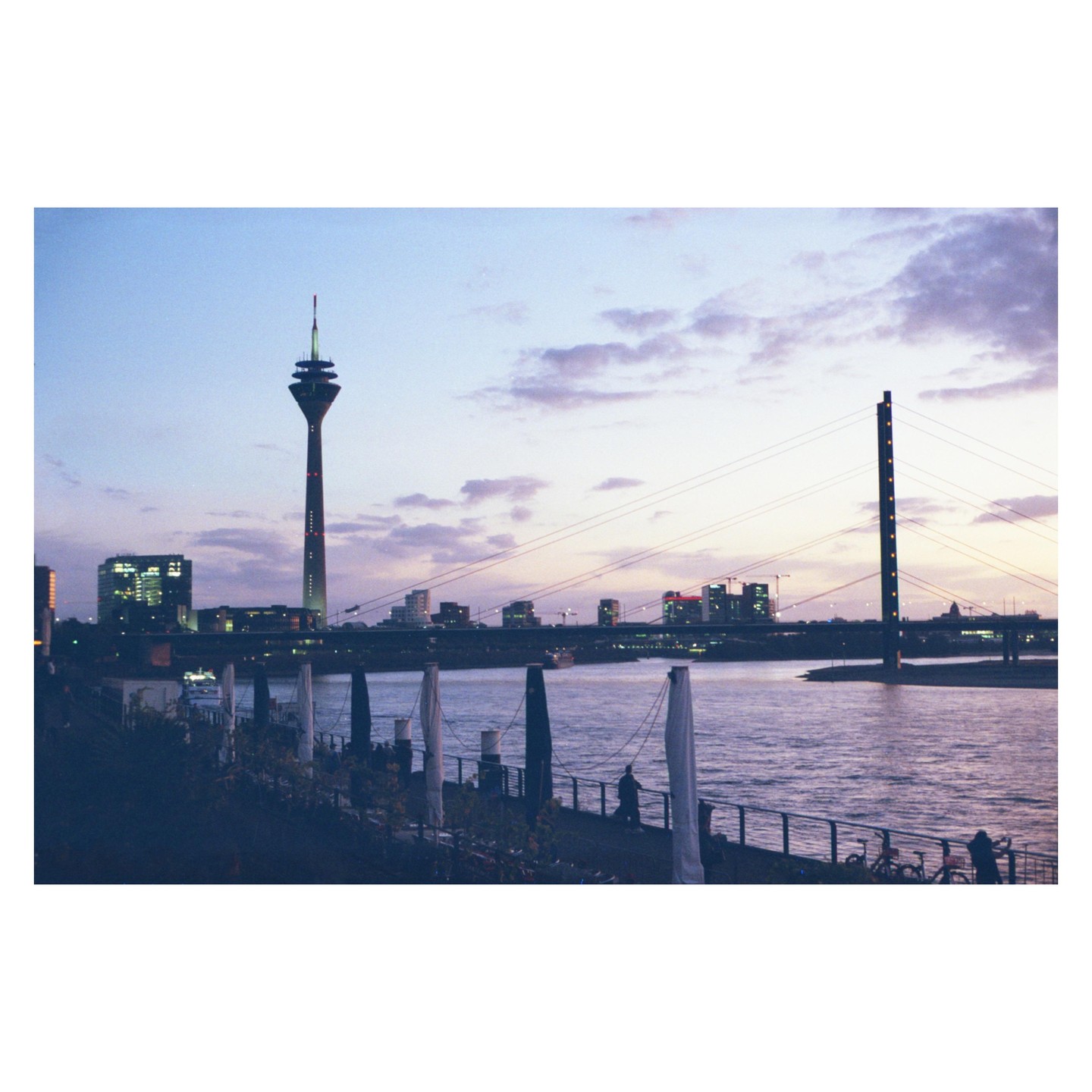 A city skyline with a prominent tower and bridge is visible across a river at dusk.