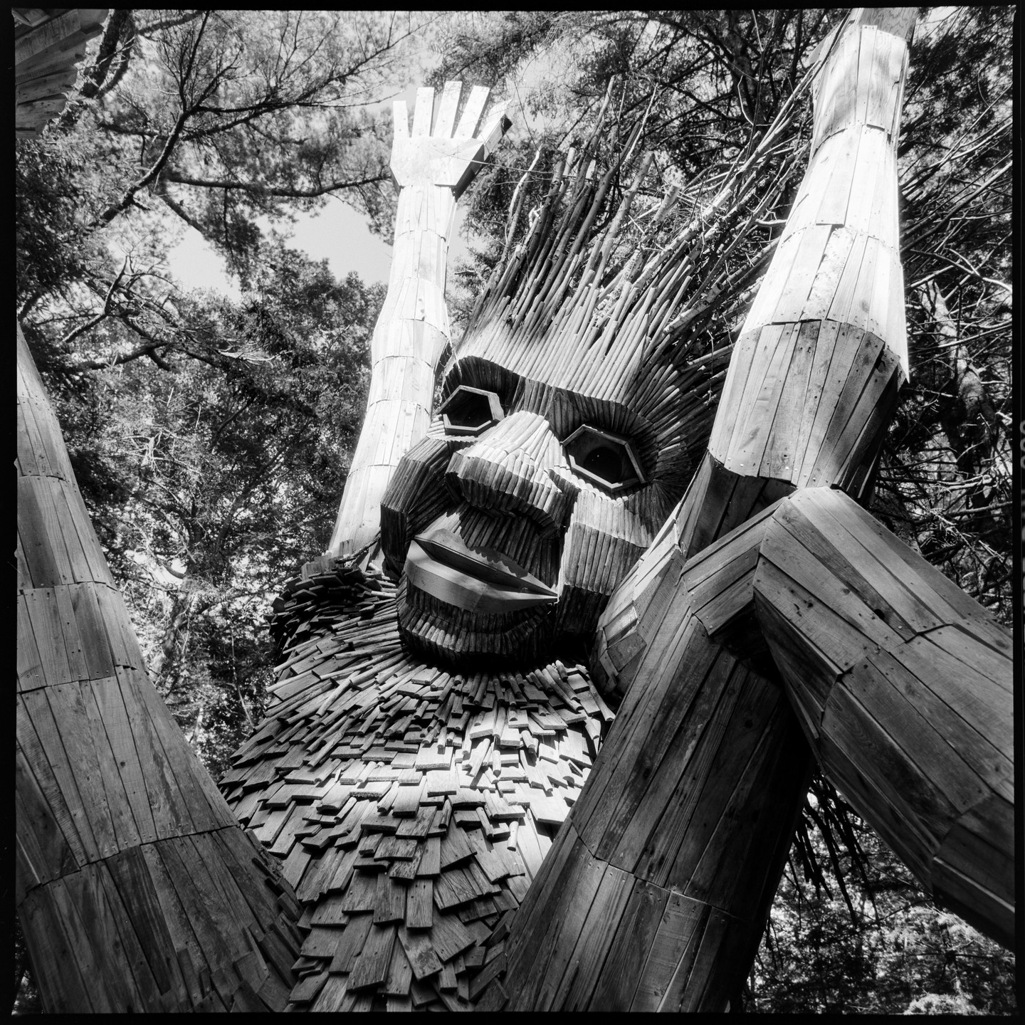 A large wooden troll sculpture with arms raised is visible from a low angle, surrounded by trees.