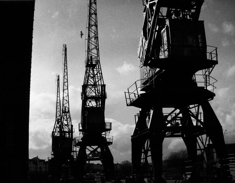 Three large cranes stand silhouetted against a cloudy sky, with a bird flying above them.