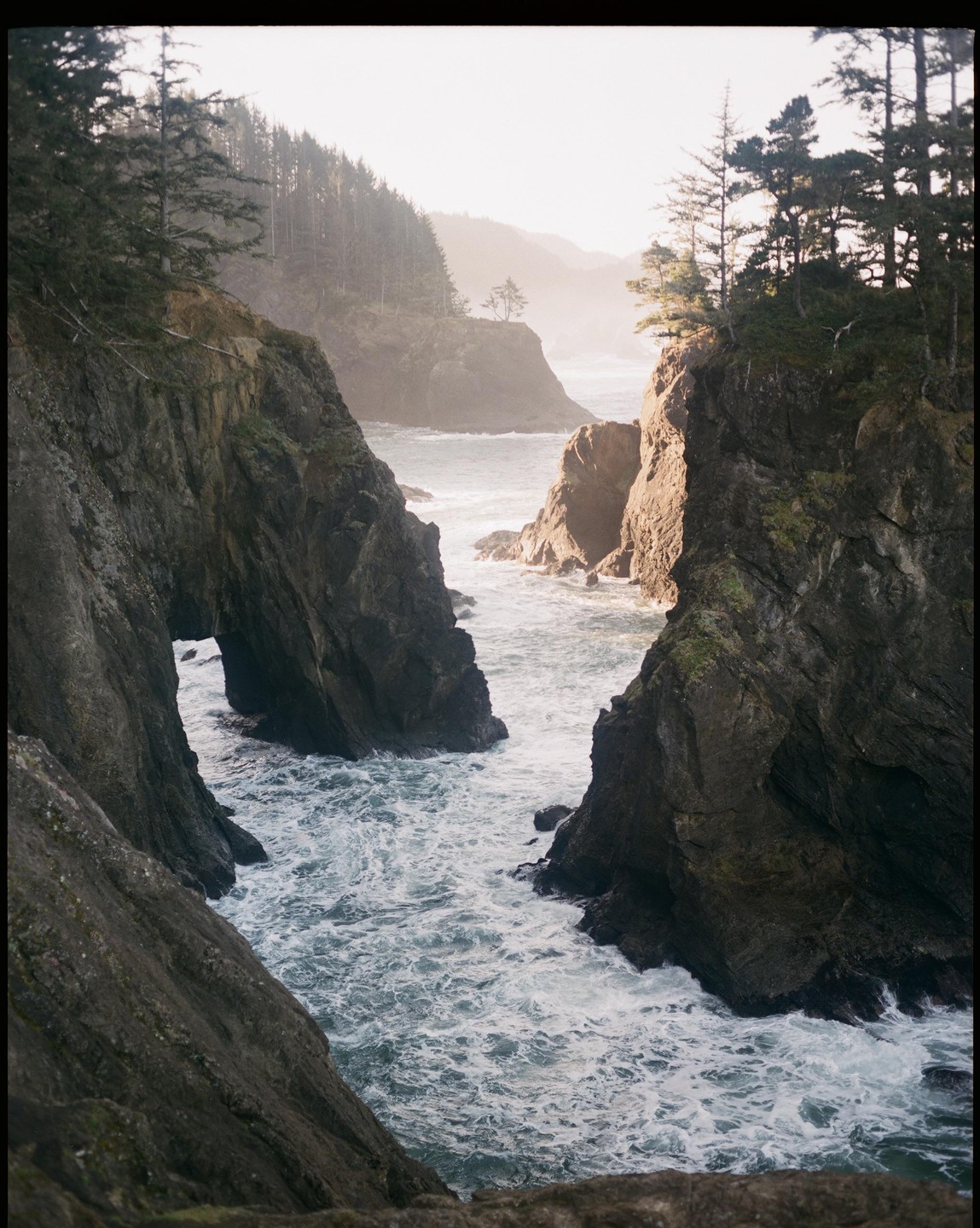 Waves crash against rocky cliffs with pine trees on top, under a hazy sky.