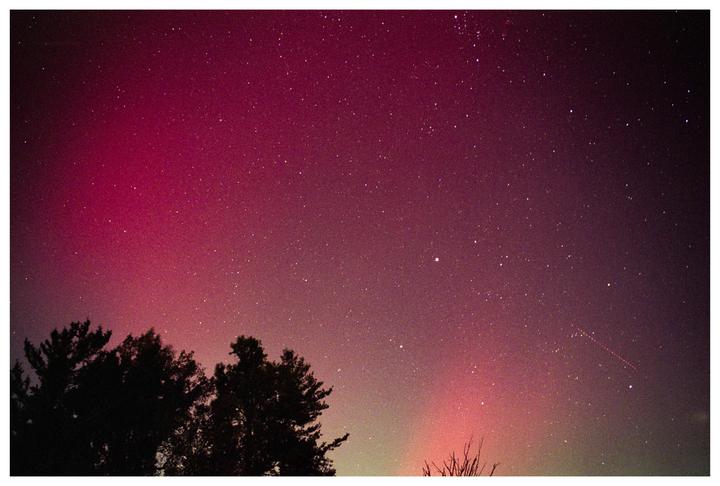 The aurora borealis glows red and pink in the night sky above silhouetted trees.