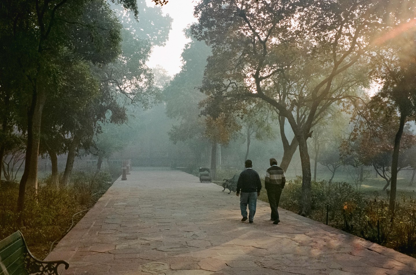 Two men walk along a stone path through a hazy, tree-lined garden.