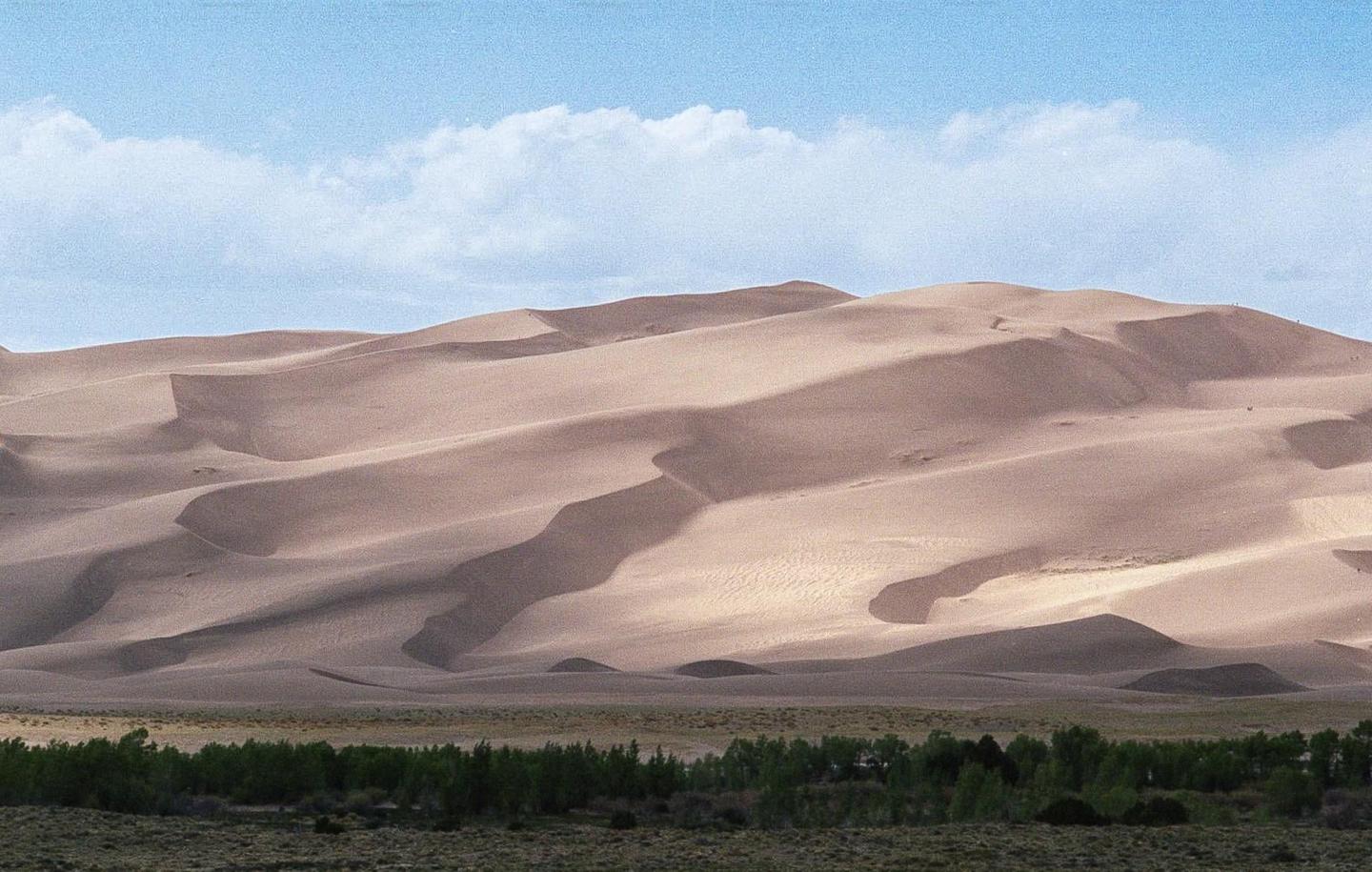 A vast expanse of sand dunes rises under a blue sky with scattered clouds, with a line of green trees at the base of the dunes.