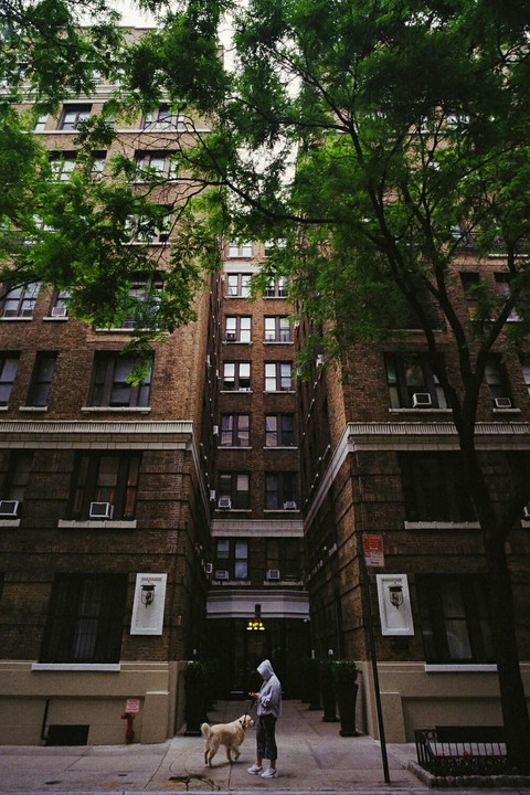 A person in a hoodie stands on a sidewalk with a dog in front of a tall brick building with many windows and green trees.