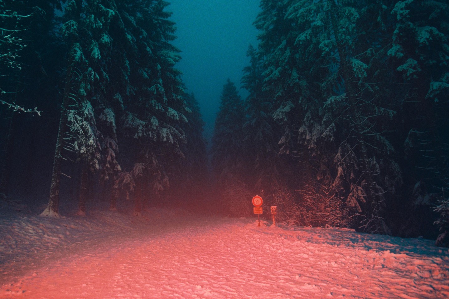 A snowy forest road at night is illuminated by red light from taillights.