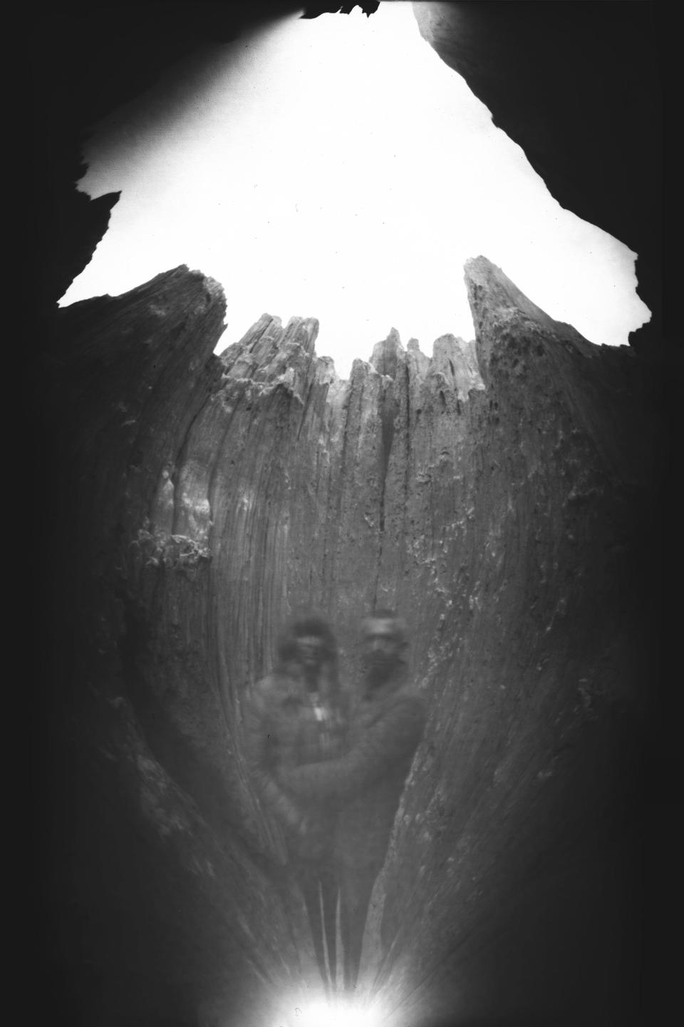 A couple is visible as a ghostly double exposure within the hollowed-out trunk of a tree.