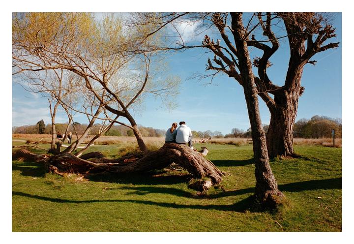 A couple sits on a fallen tree trunk in a grassy field with other trees under a clear sky.