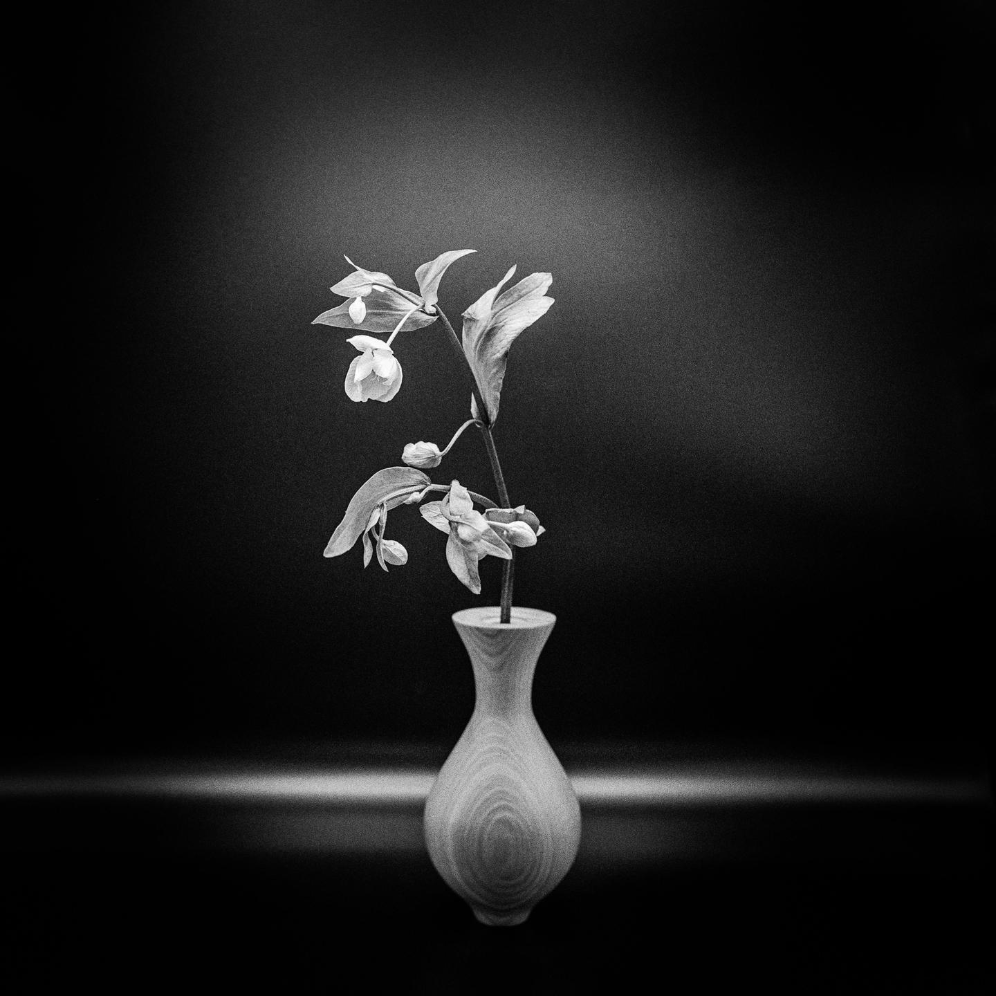 A single stem of flowers with leaves is in a small wooden vase.