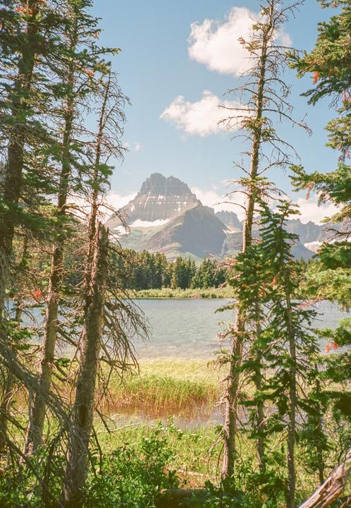 A lake is visible through a dense forest with a mountain in the background.