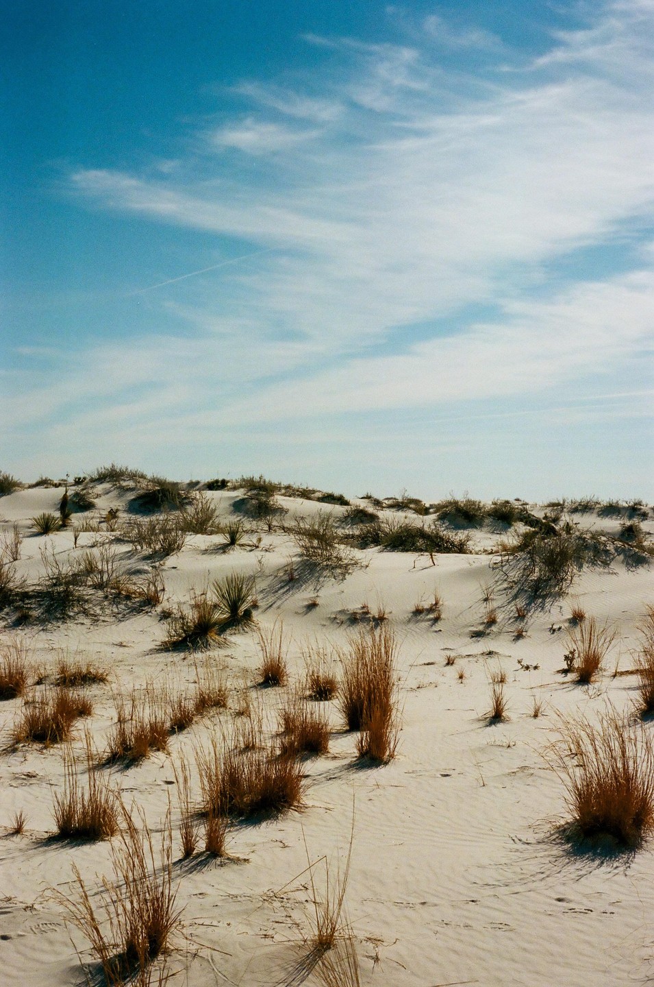 A desert landscape shows white sand dunes with sparse vegetation under a blue sky with wispy clouds.