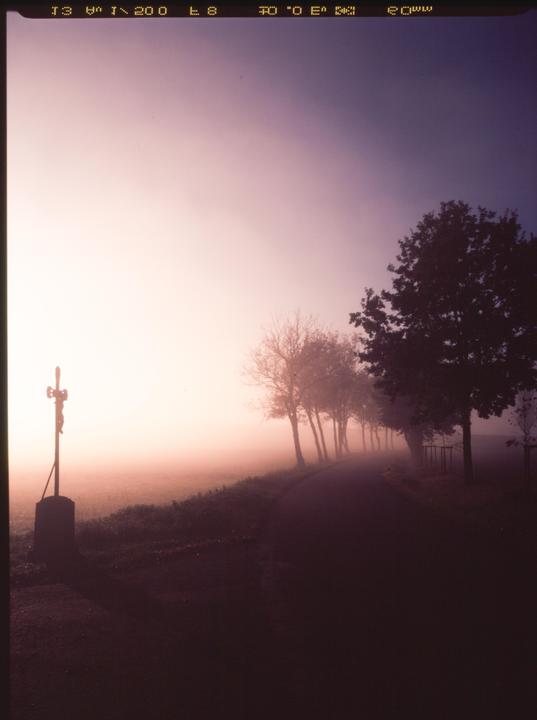 A crucifix stands beside a road lined with trees in a hazy landscape.
