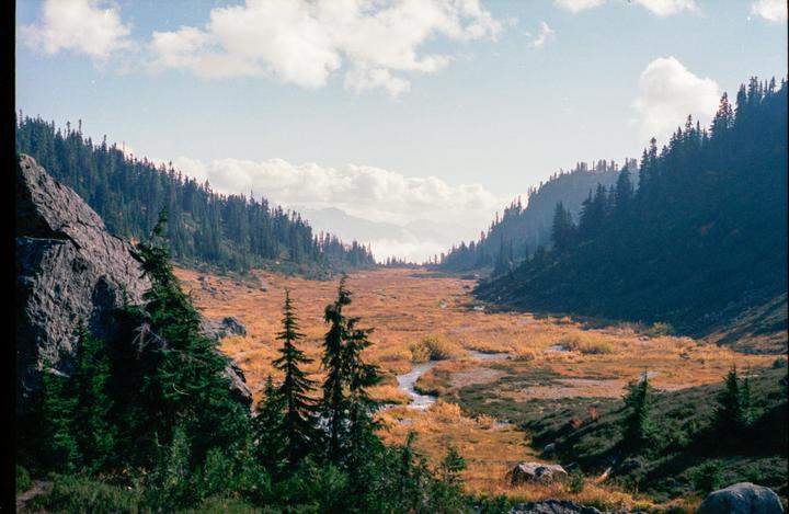 A valley with a stream running through it is surrounded by mountains covered in pine trees under a cloudy sky.