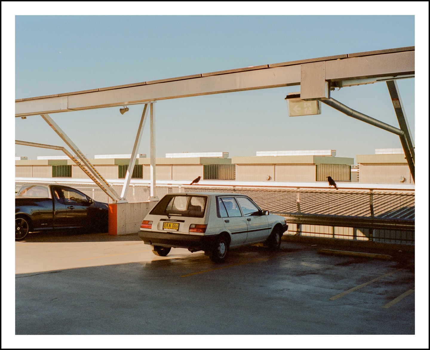 Two cars are parked on the top level of a parking garage with two birds perched on the railing.