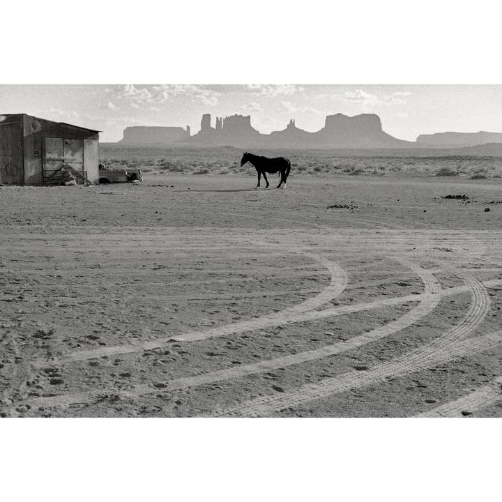 A horse stands in a desert landscape with a small building and rock formations in the background.