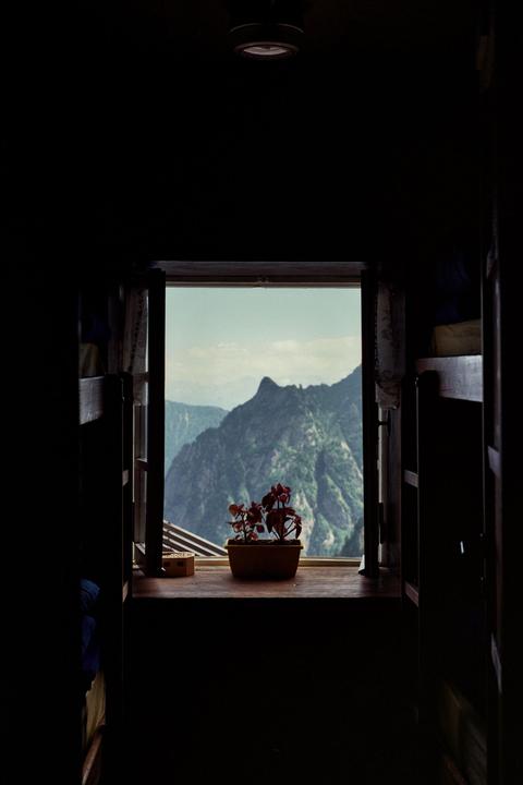 A potted plant sits on a windowsill overlooking a mountain range.