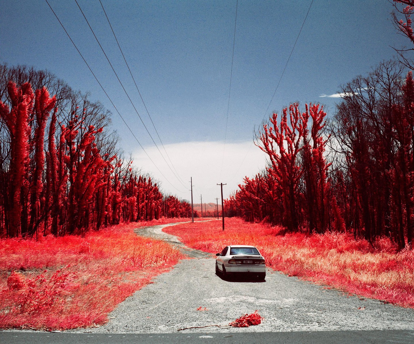 A white car is parked on a winding gravel road lined with red trees and grass under a blue sky.