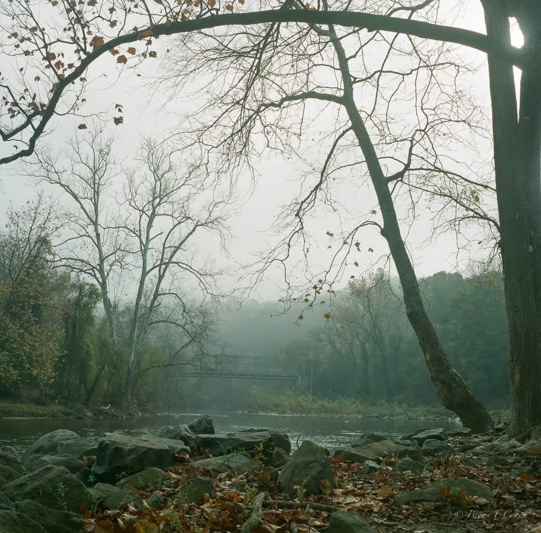 A river flows through a hazy, wooded landscape with bare trees and fallen leaves on the ground.
