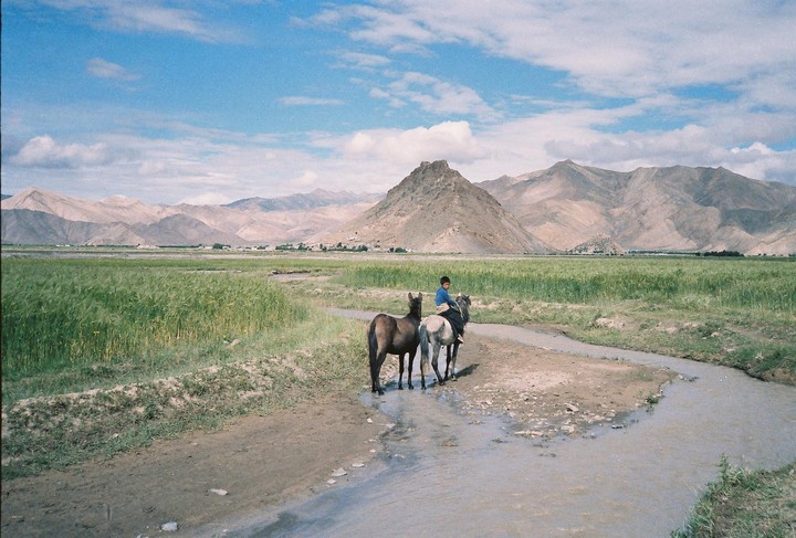 A boy rides a horse next to another horse in a field with mountains in the background.
