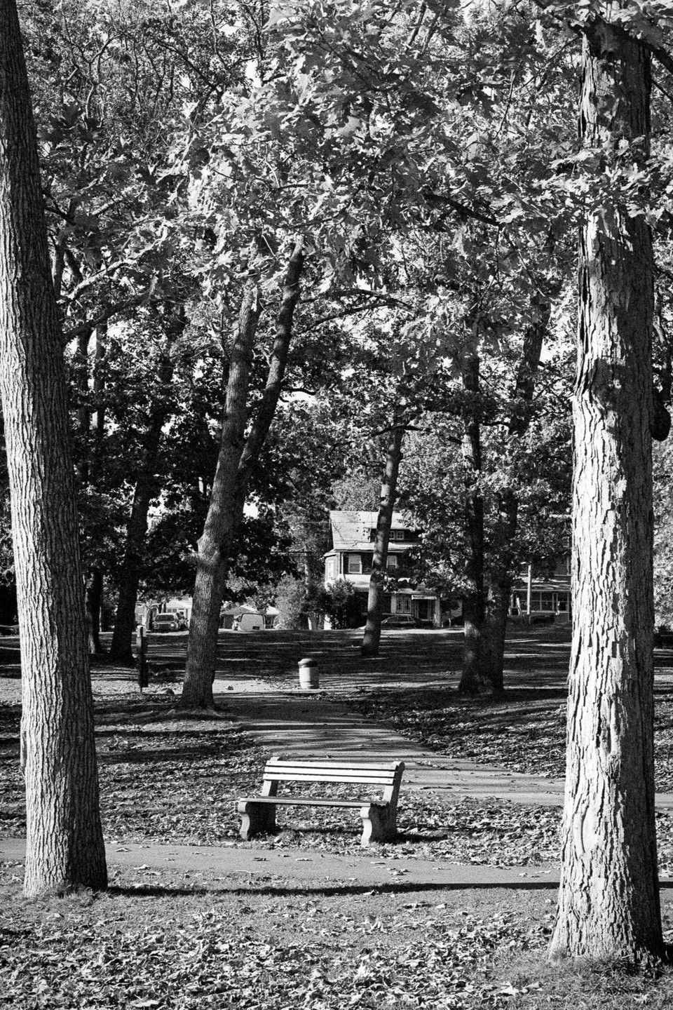 A park bench sits on a path surrounded by trees with a house visible in the background.
